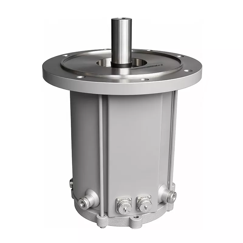 Screw Vacuum Pump Motor